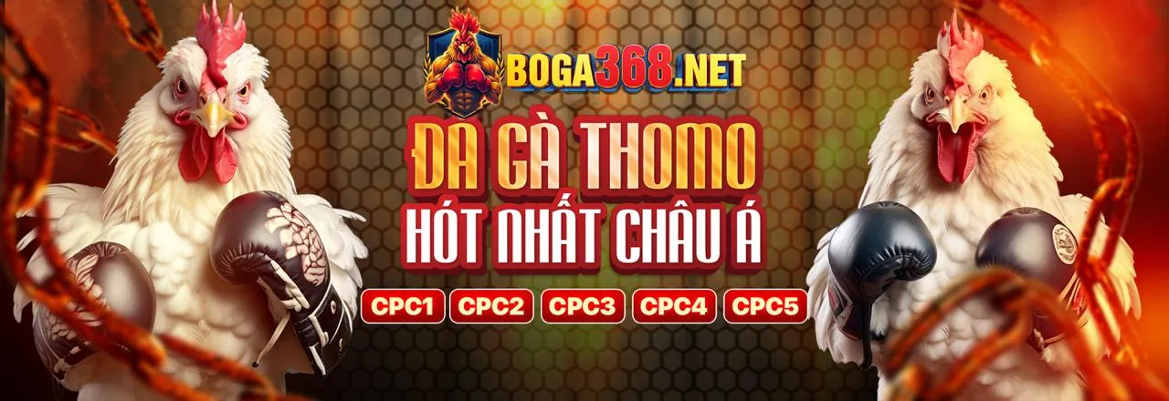 Đá gà trực tuyến kịch tính tại VNDWIN nhà cái