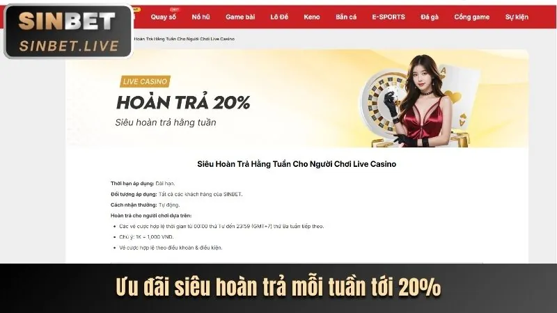 Hoàn trả hàng ngày cho mọi cược